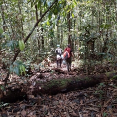 Caminata Maloca Casa Perdida Amazonas