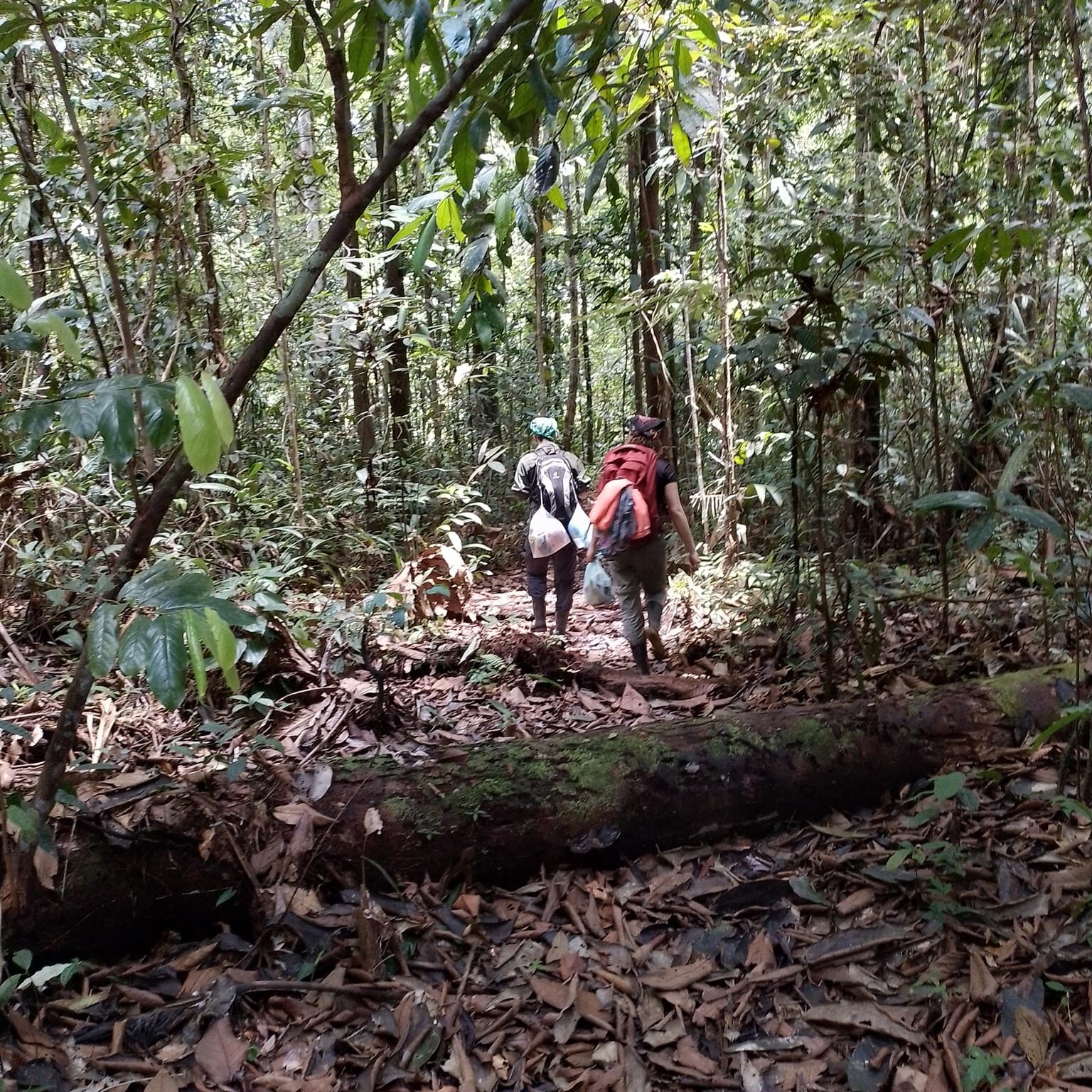 Caminata Maloca Casa Perdida Amazonas