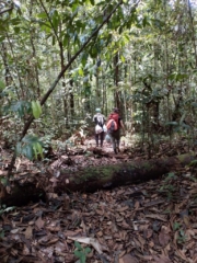 Caminata Maloca Casa Perdida Amazonas