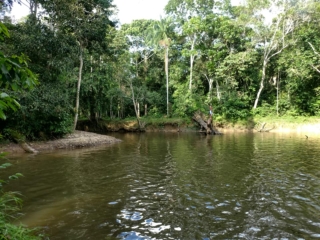 Piscina natural Maloca Casa Perdida Amazonas