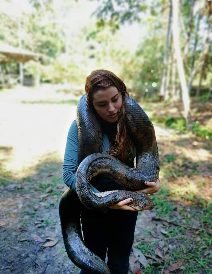 fauna maloca casa perdida amazonas